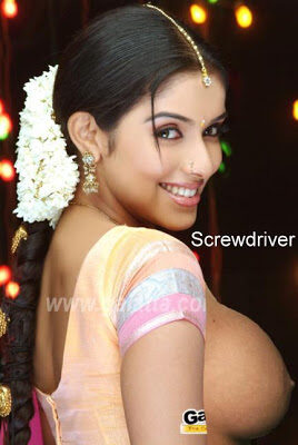 Asin boobs exposed in saree, Bolly Tube