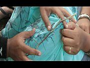 af68e4cecf768d3c21259b39b3df3854-17-2020-4875158