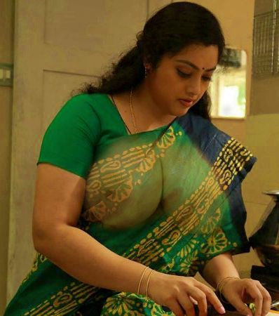Meena boobs see though in transparent Saree without bra inside, Bolly Tube