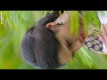 Sunaina Hot Expressions | Sunaina Hot | Vertical Edit, Bolly Tube