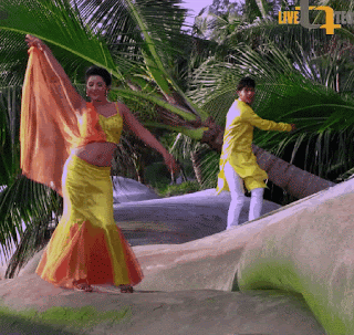 video2gif_20190116_115828-2020-9877516