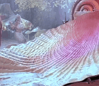 video2gif_20190318_104548-2020-6779886