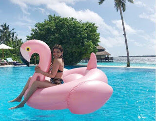 fb_img_1577014572795-2020-7433764