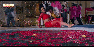 video2gif_20181216_091749-2020-2592529