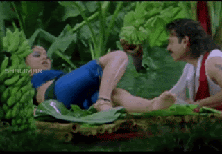 video2gif_20190101_213918-2020-9044610