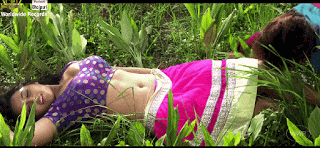 video2gif_20190115_154635-2020-3290654