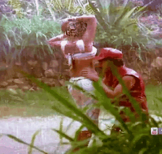 video2gif_20190122_202921-2020-7921968