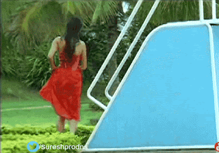 video2gif_20190209_182837-2020-2351521