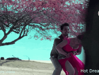 video2gif_20190222_230250-2020-3914907