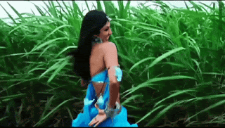 video2gif_20190223_171908-2020-5456357