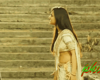 video2gif_20190226_052154-2020-1770621