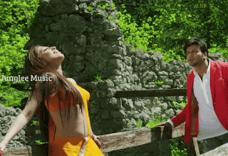 video2gif_20190228_183201-2020-3480589