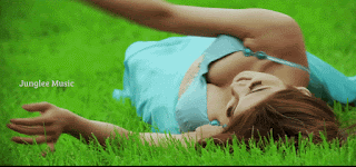 video2gif_20190228_191256-2020-3610074