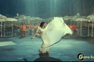 video2gif_20190324_194040-2020-7369253