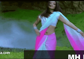Trisha saree navel dance, Bolly Tube