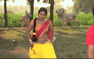 Kajal raghwani sexy navel moves, Bolly Tube