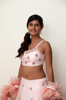 actress-ashima-narwal-pics-siima-awards-2019-press-meet-1f1cbc0-2020-5819698