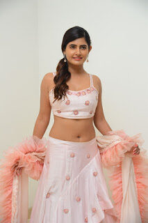 actress-ashima-narwal-pics-siima-awards-2019-press-meet-3d3a786-2020-8608867