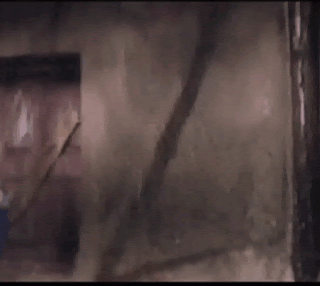 video2gif_20181208_181652-2020-6325474