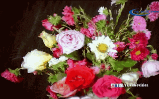 video2gif_20190125_113200-2020-5370735