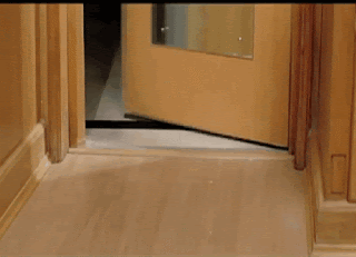 video2gif_20190208_134550-2020-3082987