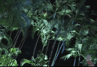 video2gif_20190303_224825-2020-5179956