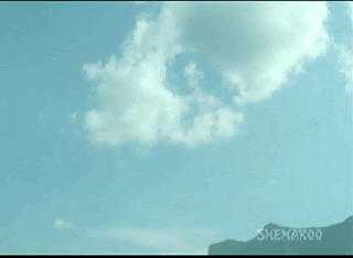 video2gif_20190312_052202-2020-6138705