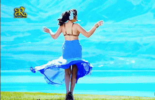 video2gif_20190509_231722-2020-3947841