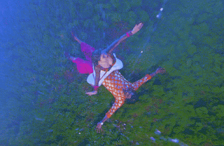 video2gif_20190716_170259-2020-8671505