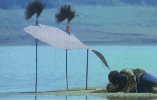 video2gif_20200131_112857-2020-4257735