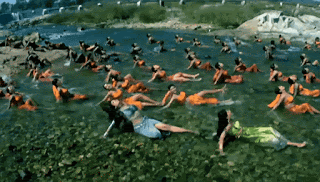 video2gif_20200205_162709-2020-2249169